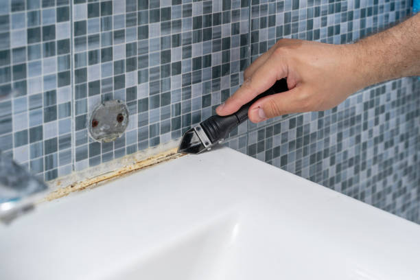 Best Same-Day Mold Removal  in Goulding, FL
