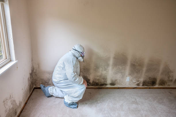 Best Crawl Space Mold Removal  in Goulding, FL